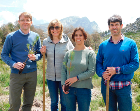 Miembros de Sanitas reforestan la Sierra de Gredos.
